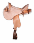 Preview: hornloser sattel endurance saddle custom made by horse gear innovations 1